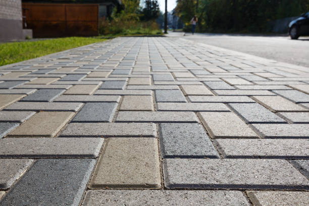 Best Local Driveway Pavers  in Delano, MN